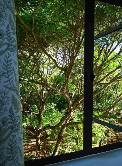 Appartement Au Calme Proche Terrasse *